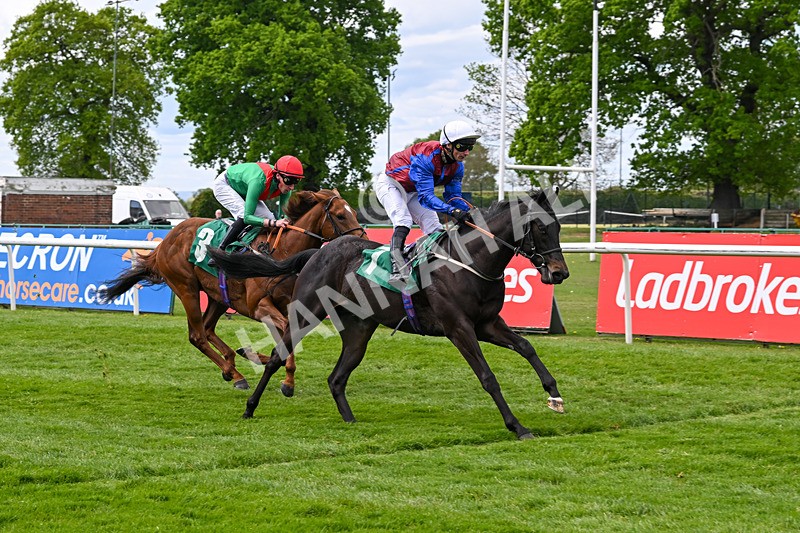 030525-Race 2-Under The Radar-2604 - Race 2