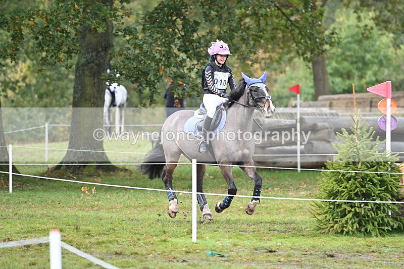 WJ6_1738 - 80cm Cam 1 Time 10:08 to 10:45