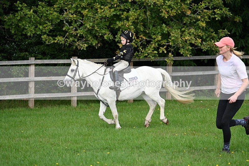 WJ7_3857 - 40cm Time 10:26 to 10:42