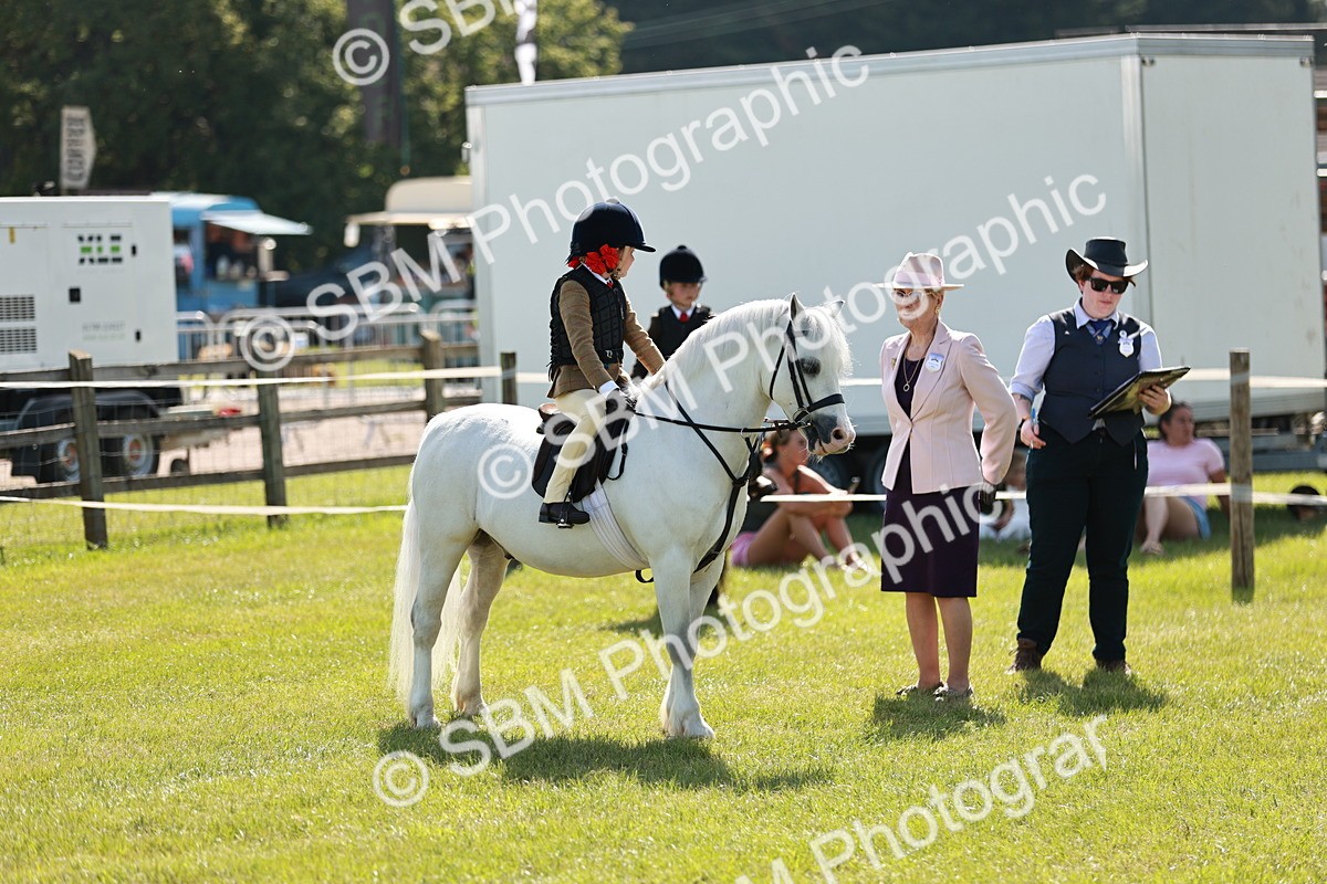 SBM_12741 - Class 106-107 - BSPS LIHS Working Sports Pony