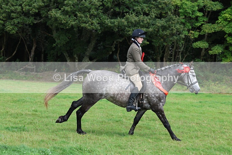 3E7A6207 - Working Hunter Championship