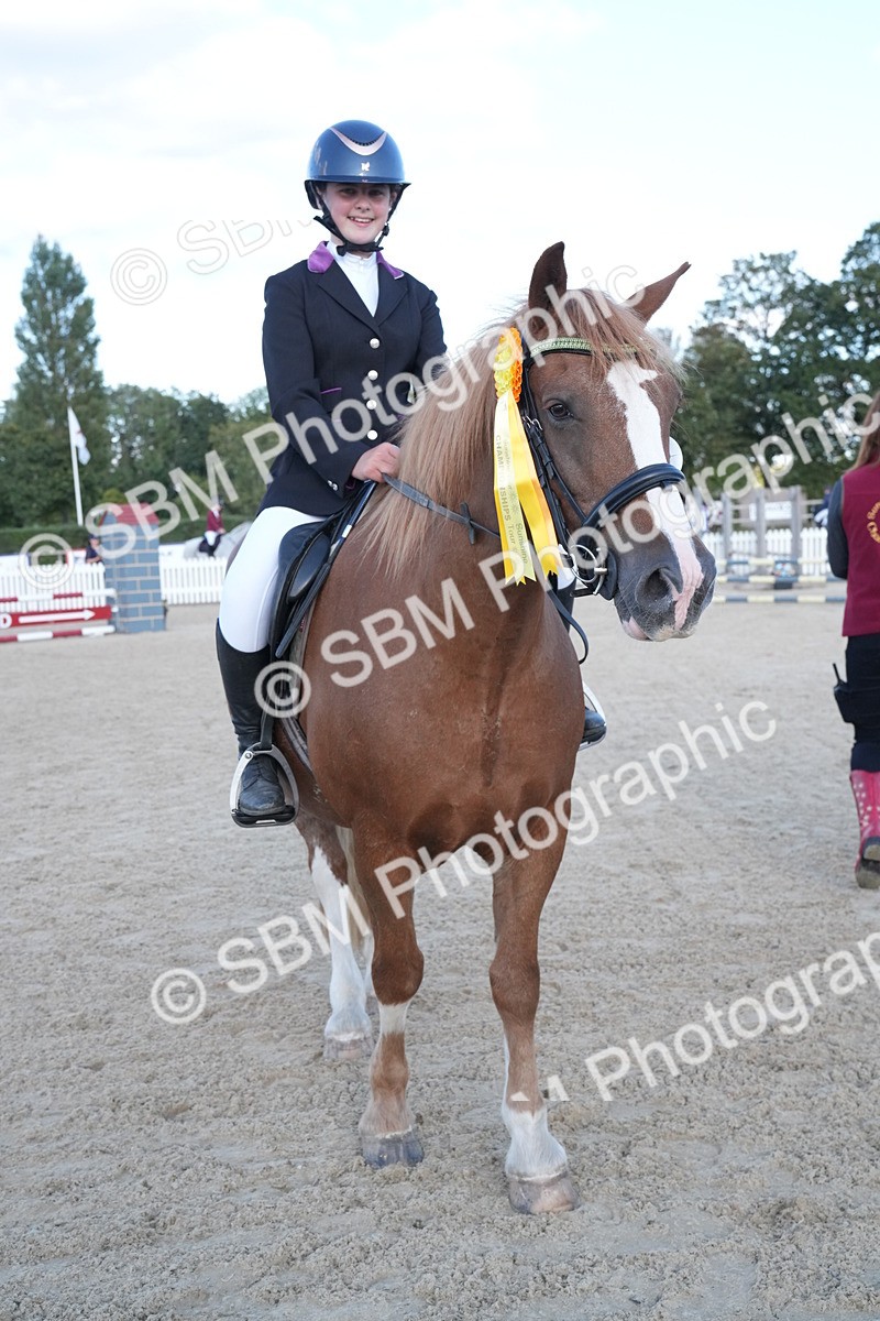 SBM_28066 - J43 - Super Speedy Scurry Open - 60cm