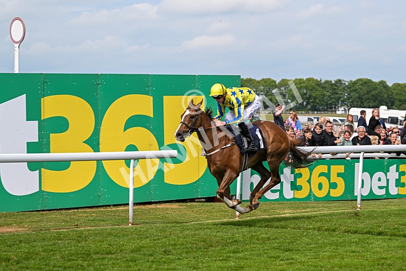 240525-Race 4-My Harrison George-1225 - Race 4