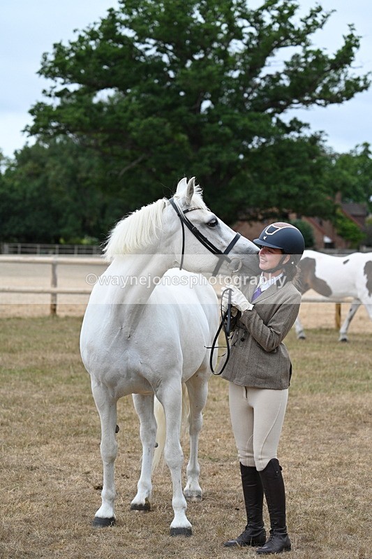 WJ7_9126 - Class 4a Prettiest Mare 14.2hh and over