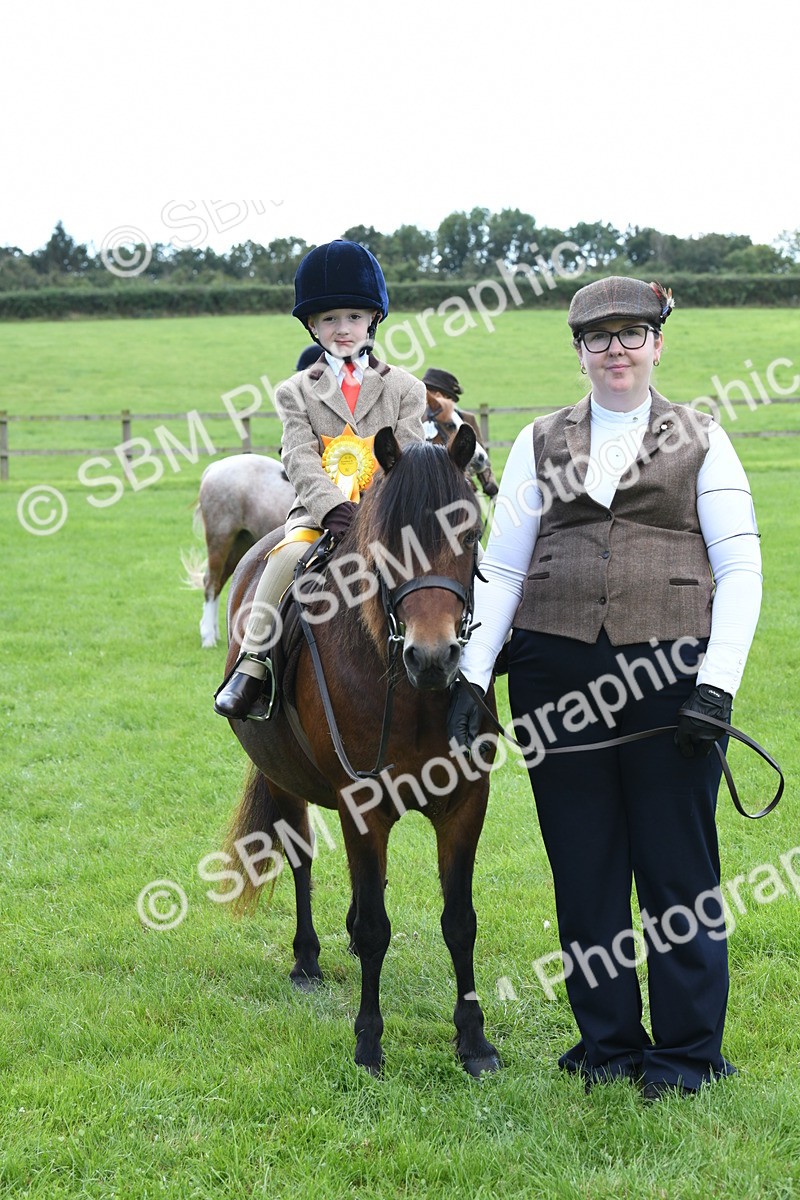 SBM_42677 - S20 - Lead Rein Mountain & Moorland Pony