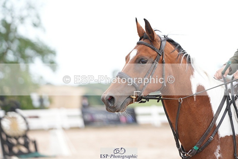 250715-170956-00300 - 80cm