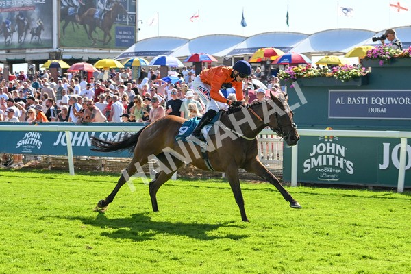 120725-Race 6-Terrorise-6116 - Race 6 4.45pm John Smith's Stayers' Handicap