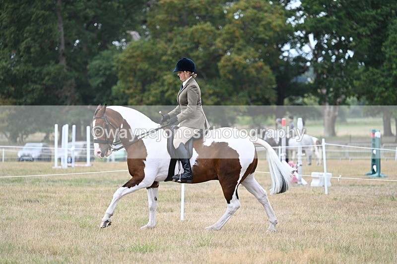 WJ7_5064 - Class 12 Ridden Cob