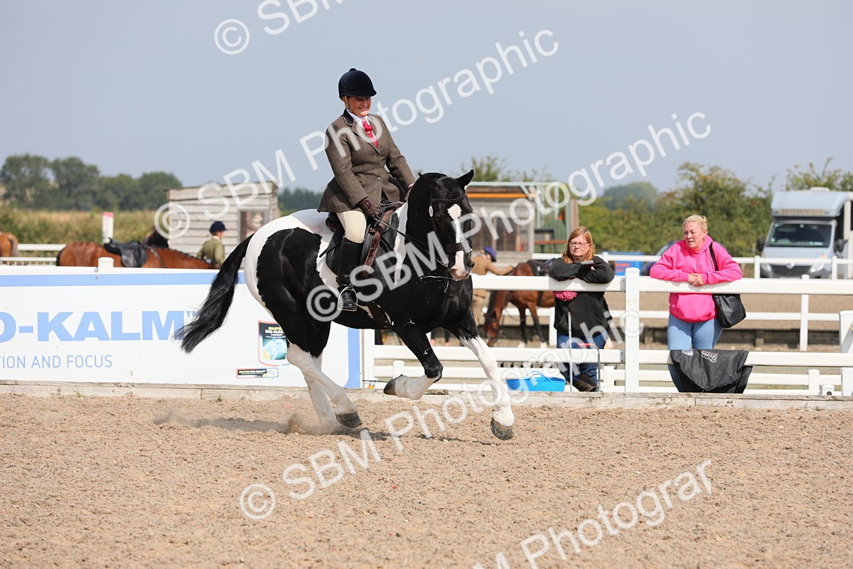 SBM_13493 - Class 308 Ridden Coloured Horse