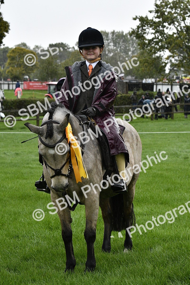 SBM_35600 - S30 - Nursery Stakes Working Hunter Pony