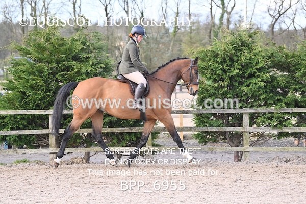 BPP_6955 - RING 1  (RIDDEN HORSES / IN HAND / VETERAN ETC)