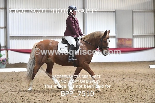 BPP_7510 - INTRO TEST 2