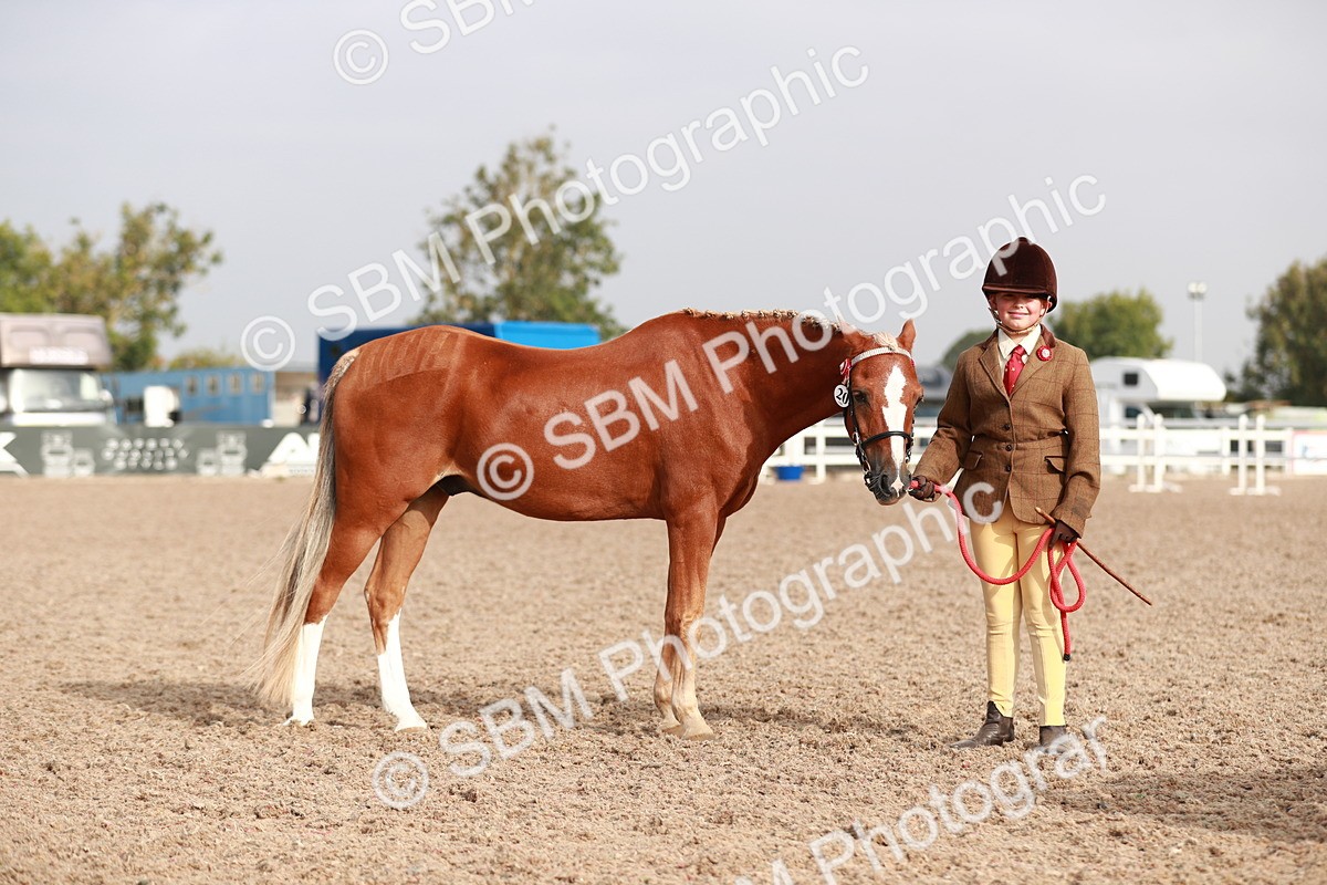 SBM_09921 - Class 203 Young Handler, 10 years and under