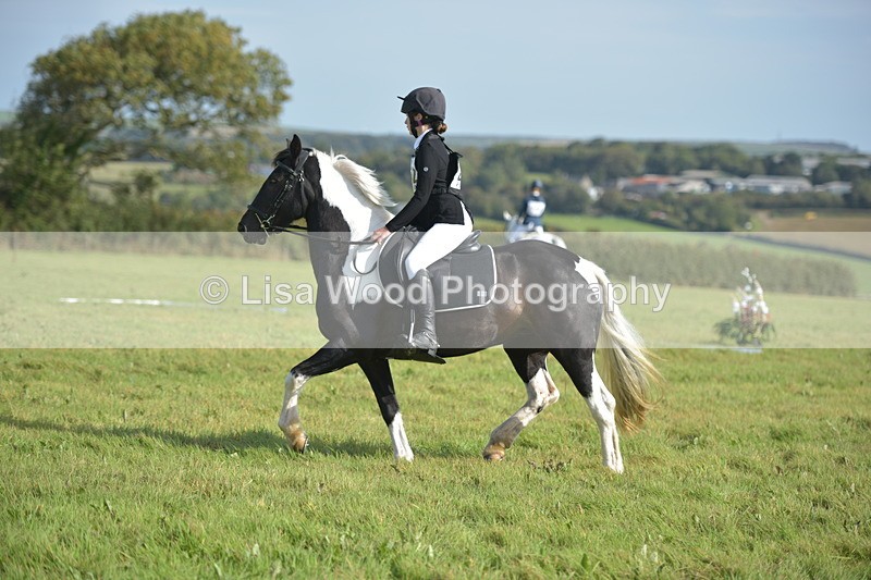 RAY_7617 - Class 2B: Trekenning Open: Dressage