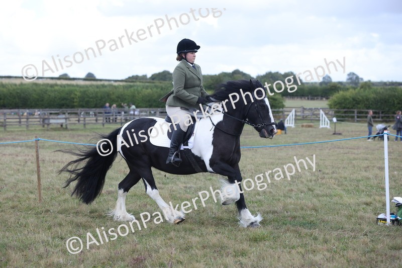 20250831-4244 - Class 20 - Ridden Coloured