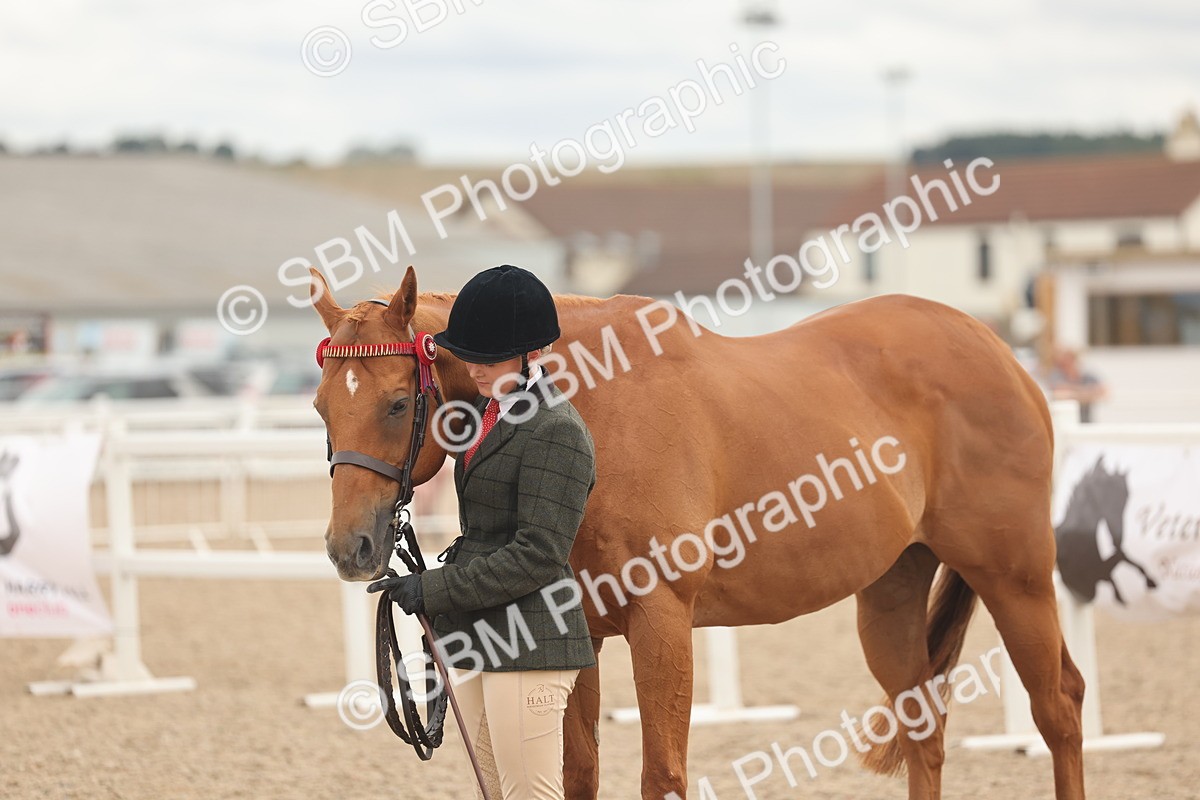SBM_17110 - Class 313 - IH Retired Racehorse