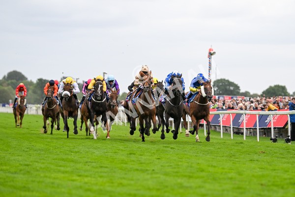 200825-Race 5-Santorini Star-1816 - Race 5 4.10pm Sky Bet Stayers Handicap