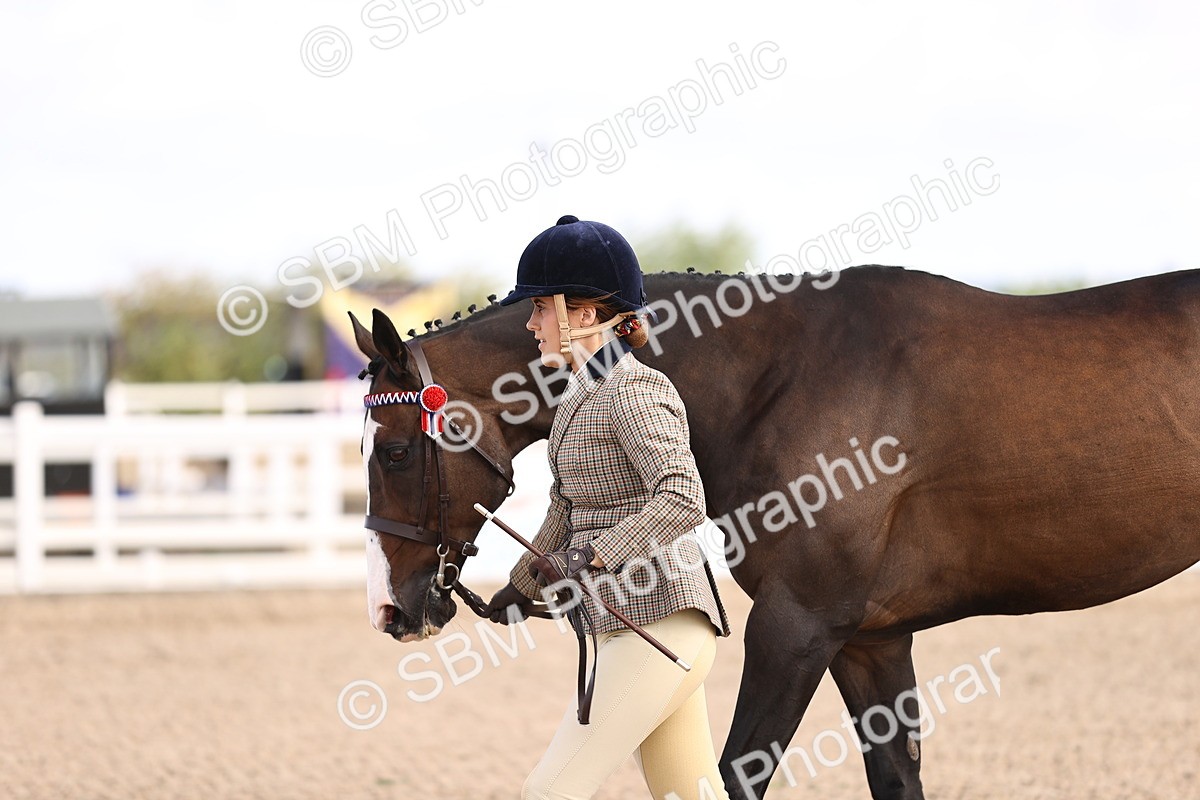 SBM_11543 - Class 407 - IH Hack-Riding Horse