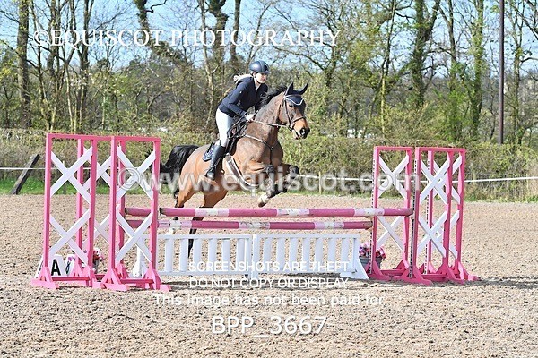 BPP_3667 - CLASS 2 FRI Club/ Unaffiliated 90cms Open