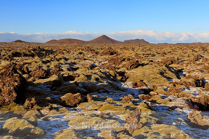 Frosty lava field near the Blue Lagoon (Bláa lónið) spa, Iceland - Iceland
