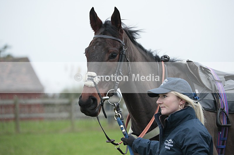 PtP 041222 0020 - Wheatland  Hunt PtP Chaddesley Corbett, Worcs 04/12/22