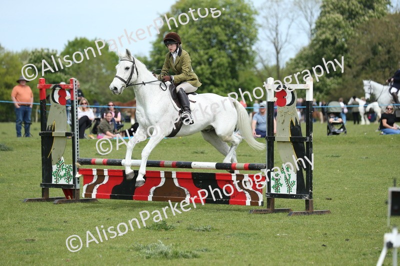 20260426-2071 - Class 15 - Absolute Novice 70cm