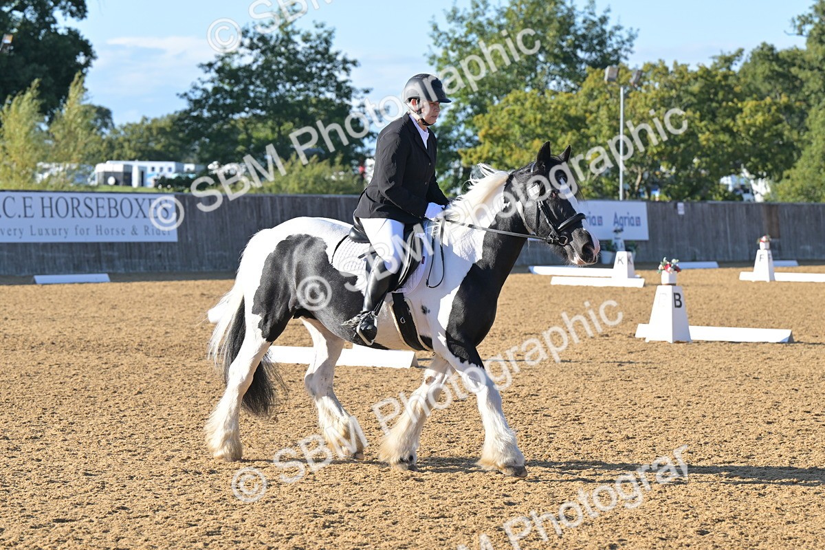 SBM_13011 - D3 - Small Tour Championship Intro 3