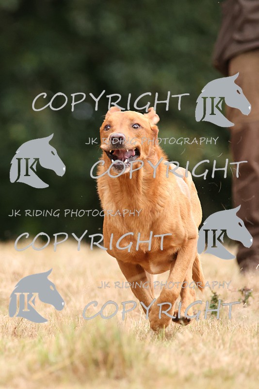 2R6A3296 - TEAM D: HANTS & SOUTH WEST 10-11-12