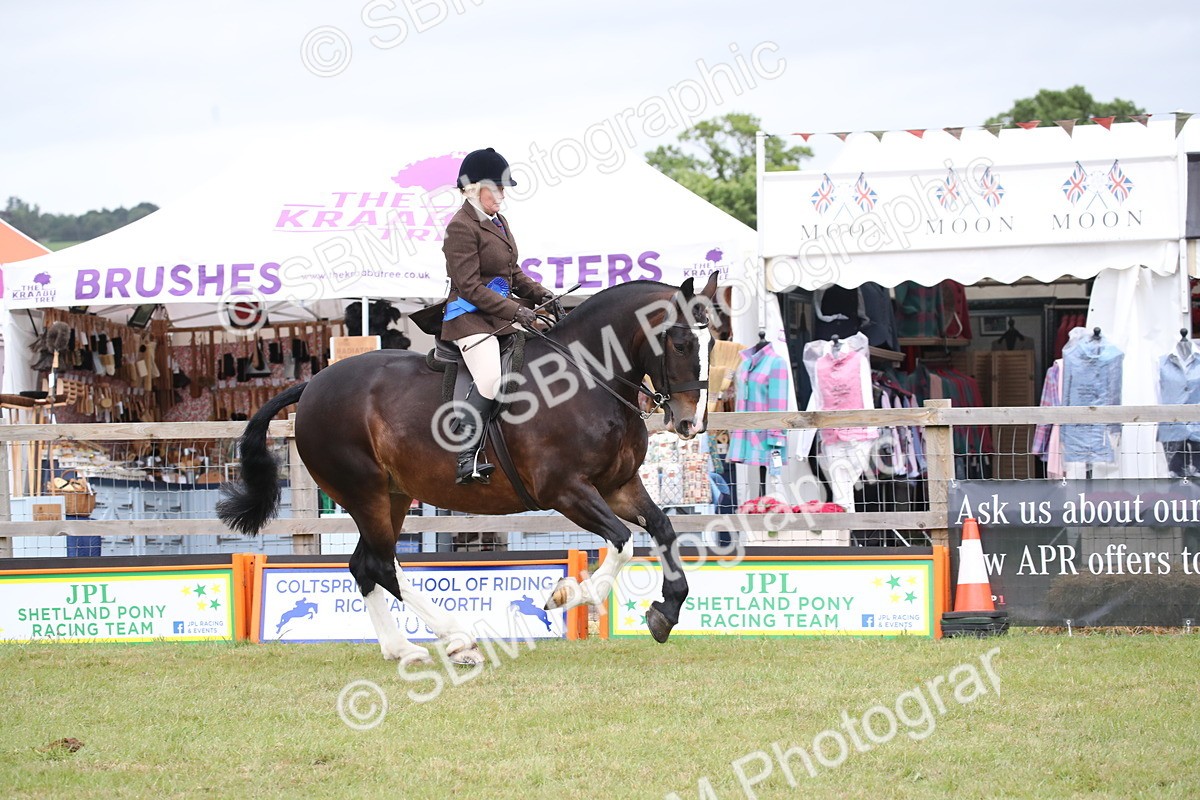 SBM_11309 - Class 92-93 - LIHS BSHA Rising Star Cobs