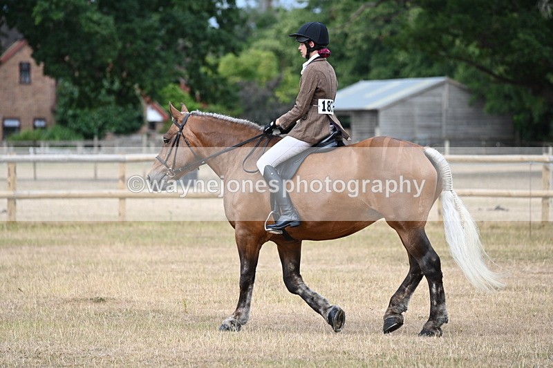 WJ6_7362 - Class 9 Tack and Turnout