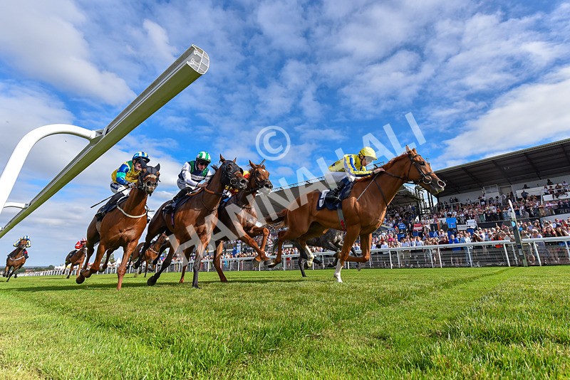 140824-Race 6-Glistening Nights-3496 - Race 6