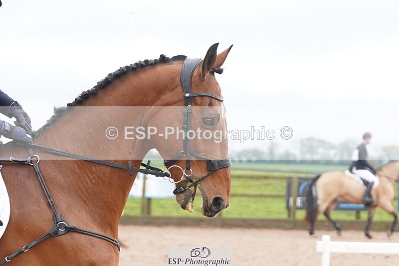 250419-104102-08406 - 459-Ella.Otto-SUMMERBRIDGE.TIPP