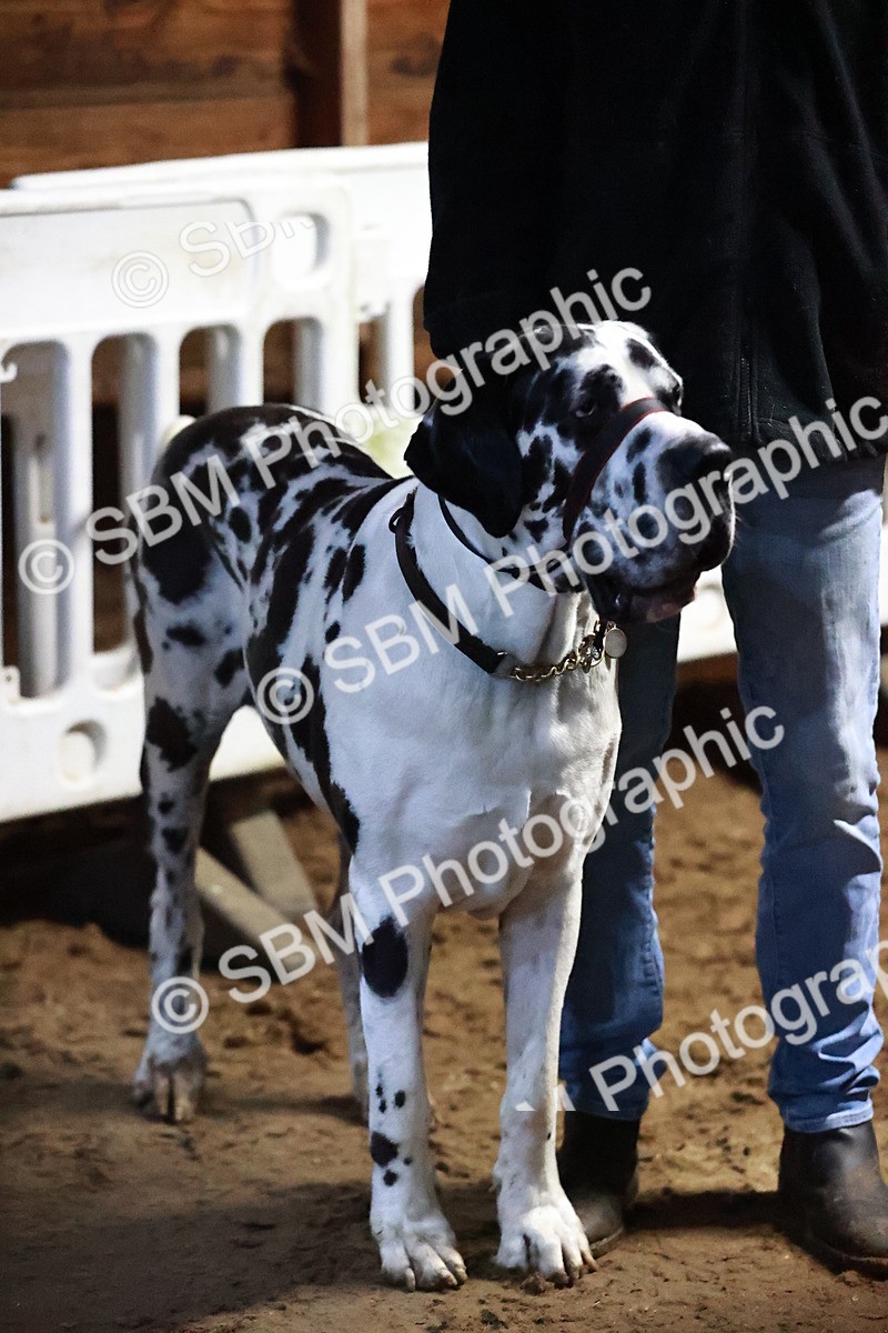 SBM_002332 - Class 5 - 80cm