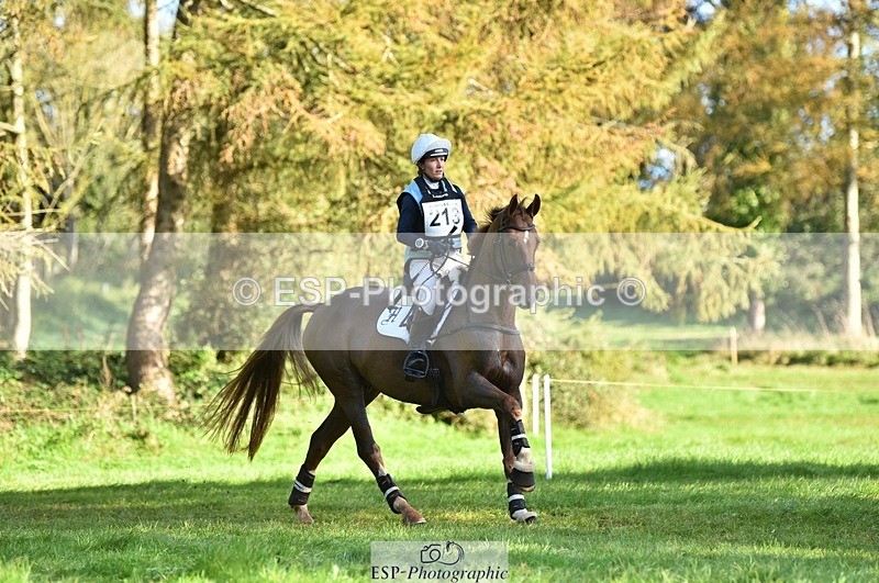 231022-103326-25350 - 213-MGH.HILDARE.HARLEQUIN-Danielle.Mccormack-XC