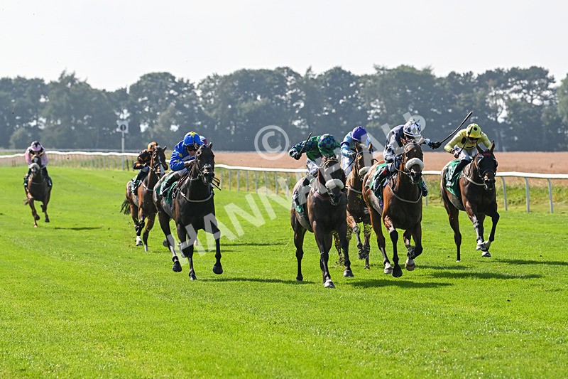 300824-Race 4-Tinto-5959 - Race 4