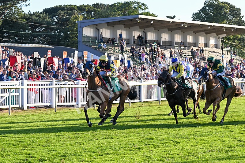 160824-Race 5-Ready Freddie Go-9577 - Race 5