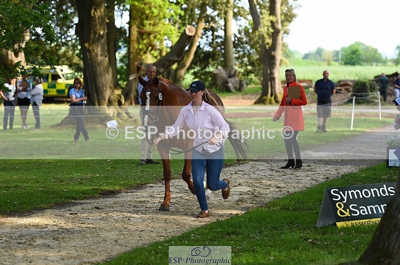 230525-173142-01498 - 323-CHESTNUT_BOBBY-Molly_Fletcher-WEDTrotUp+DR