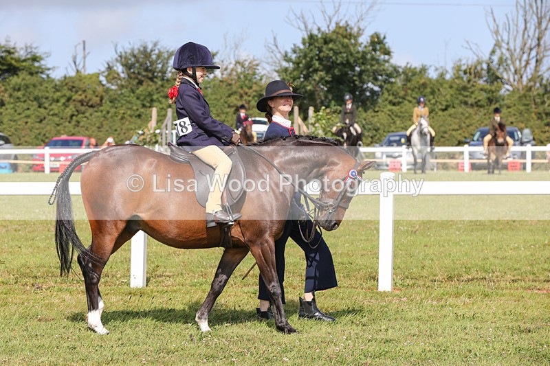 1X9A3540 - Class 29: Lead Rein SP/SHP