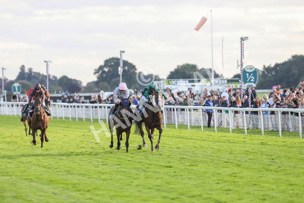 230923-Race 6-September Power-5426 - Race 6 4.55pm New To York Rio Brazilian Handicap