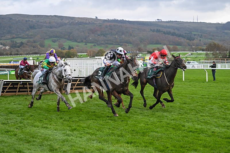 161124-Race 5-Noble Birth-0977