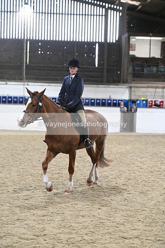 WJ7_4133 - Class 17 Ridden Cob