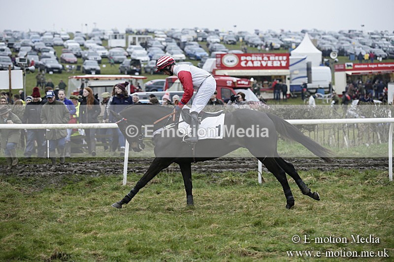 PtP 020418 -17 - Old Berks Point-to-Point Races Easter Monday 02/04/18