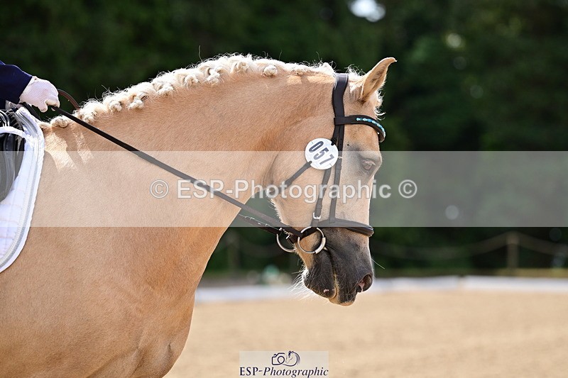 260802A-111512-05757 - Novice Silver break - break