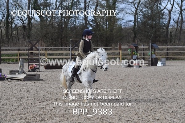 BPP_9383 - 50CM