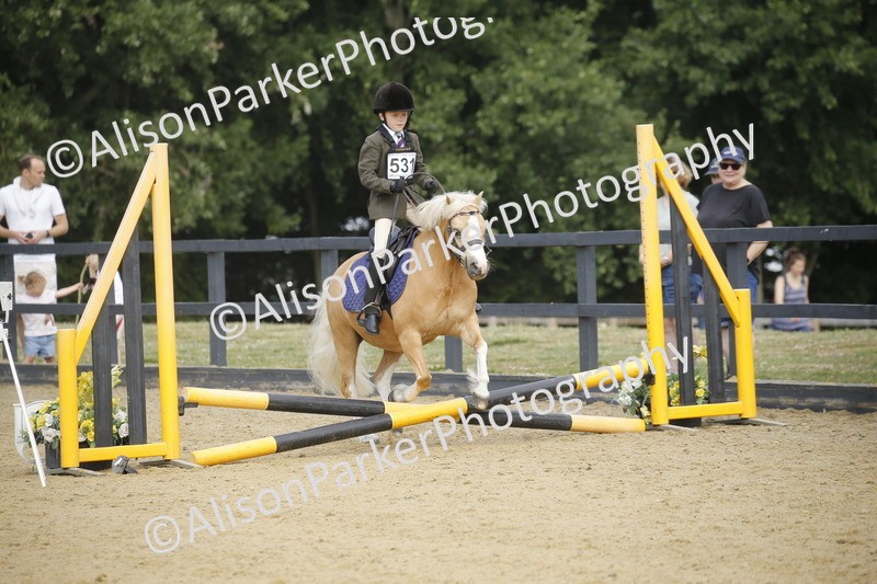 20250622-1534 - 40cm