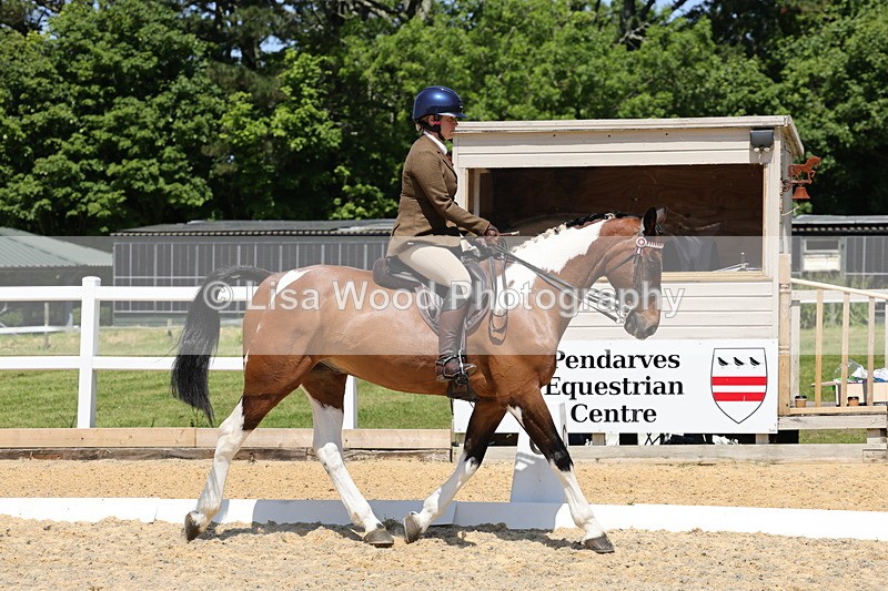 1X9A1813 - Class 12: Ridden Riding Horse/Hack