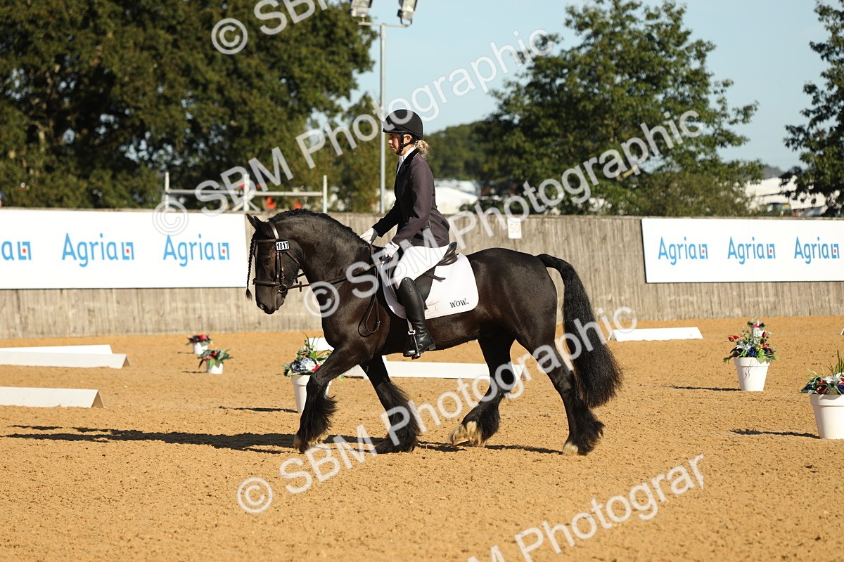 SBM_16413 - D10 - Small Tour Championship - Prelim 2