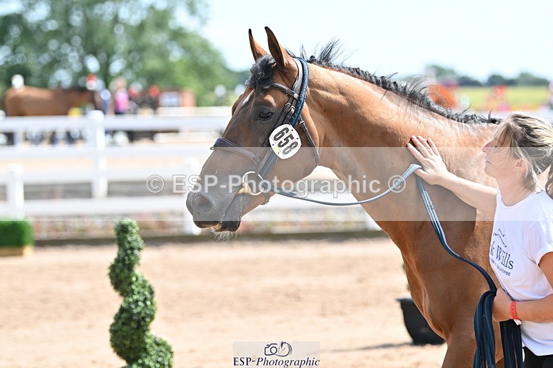 240717A-152023-02767 - Trot Up 3pm to 4pm