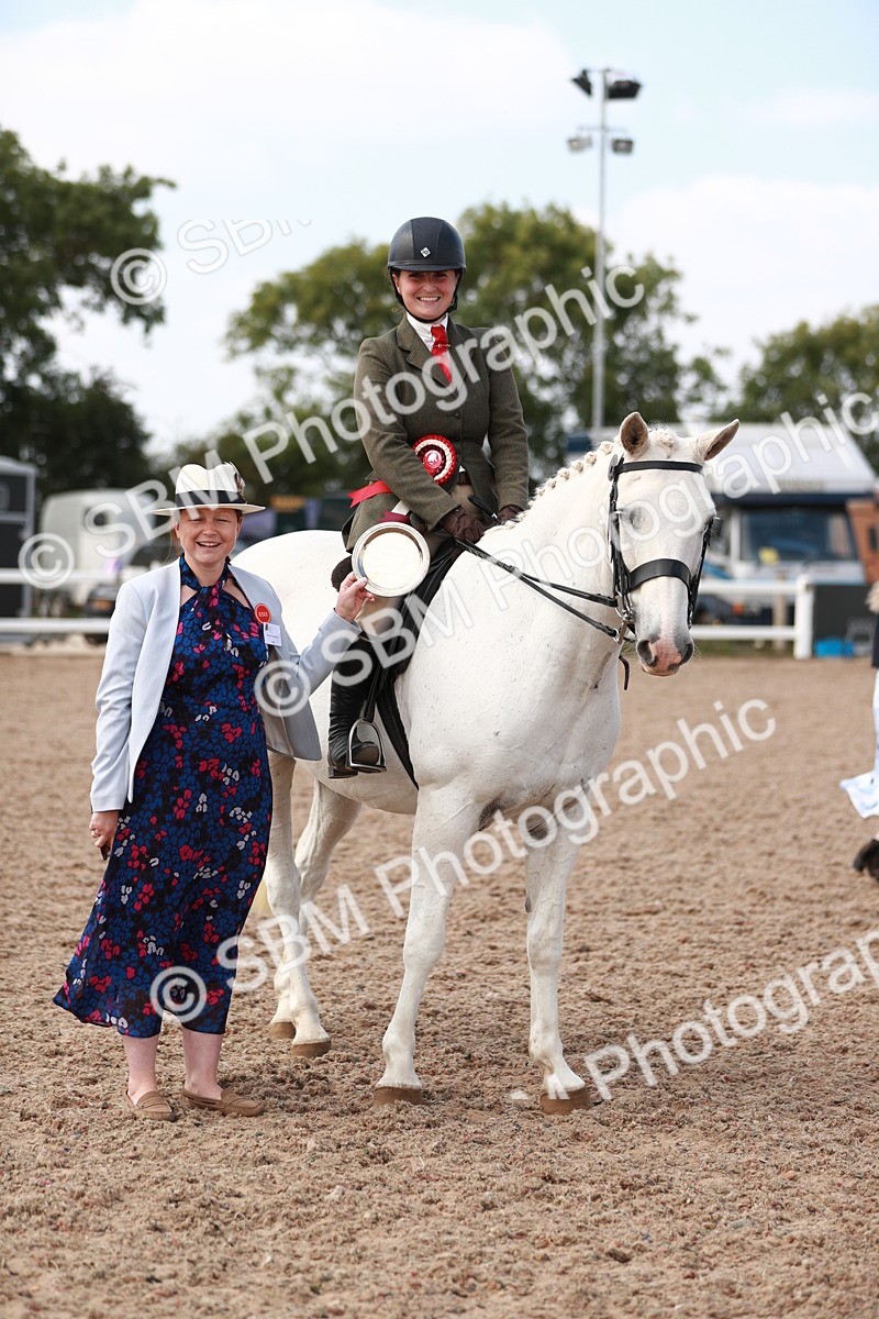 SBM_14916 - Class 212 Ridden Hunter - Small