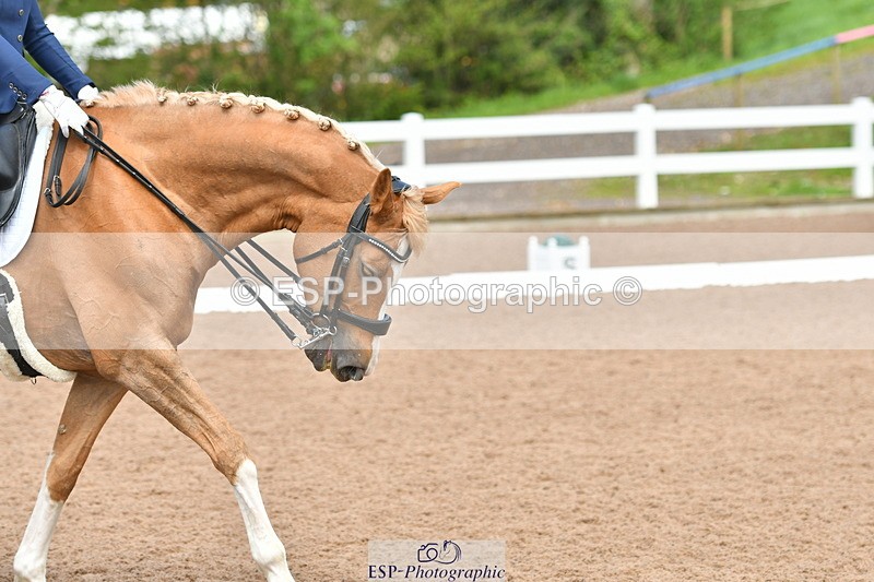 230511A-144824-01010 - BD Cls 14 Adv Medium 98